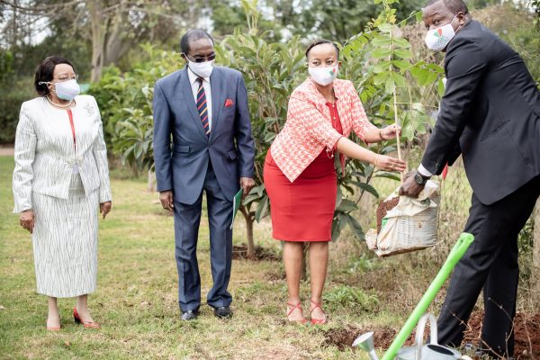 CEO JULIET PLANTING A TREE TO COMMEMORATE HER INSTALLATION ONLOOKING IS TKH FOUNDER CHAIR DR JAMES MAGERIA AND OUTGOING CEODR. BETTY M GIKONYO